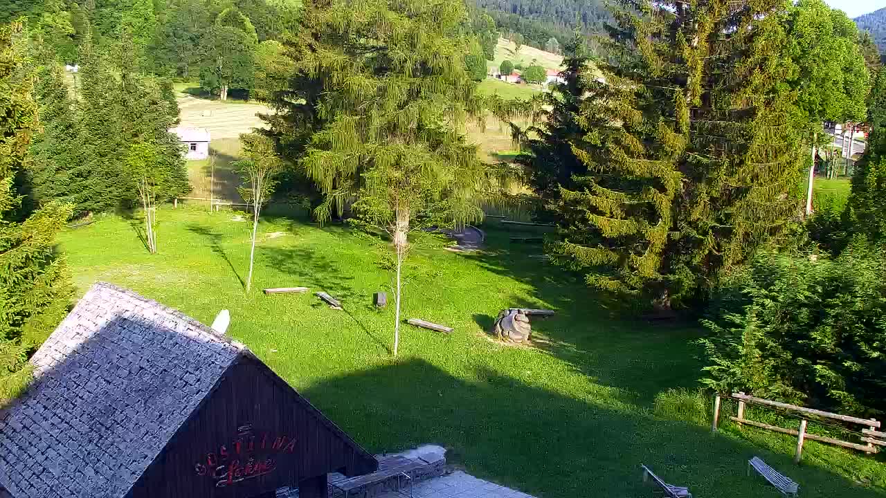 Webcam Lokve – La beauté de la forêt de Trnovo