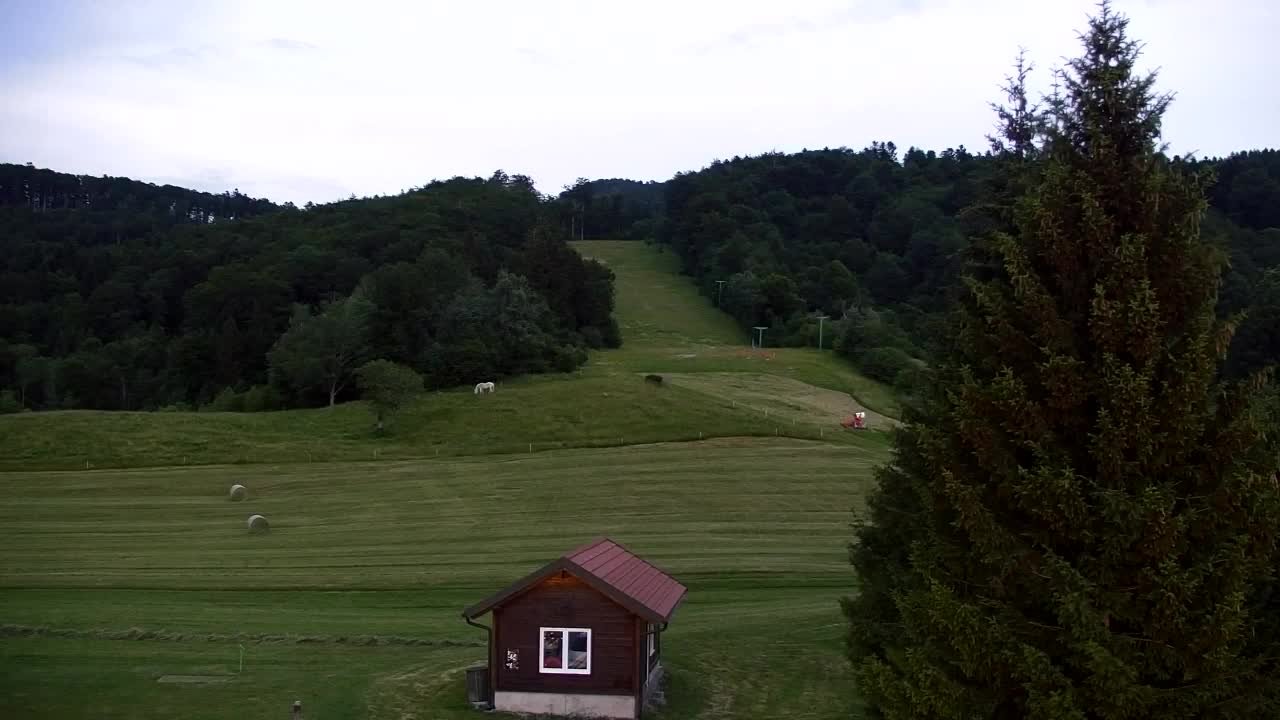 Webcam Lokve – La beauté de la forêt de Trnovo