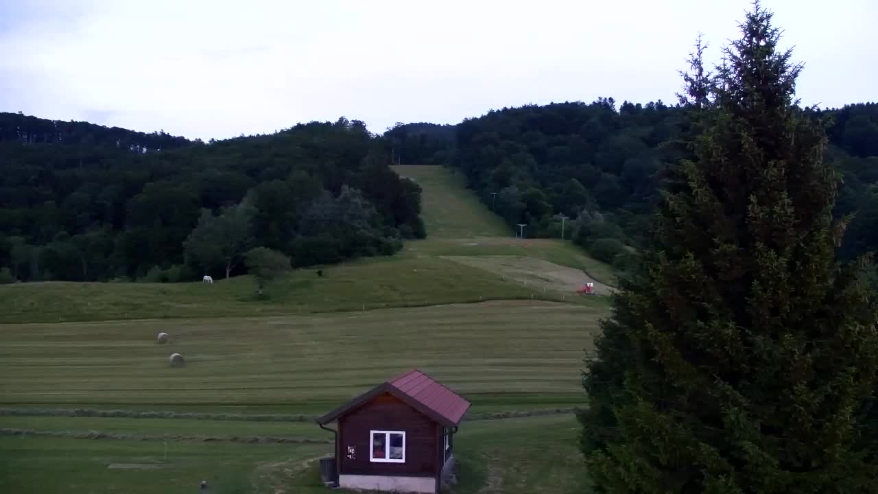 Webcam Lokve – La beauté de la forêt de Trnovo