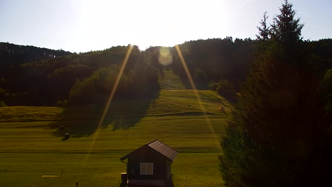 Webcam Lokve – The beauty of the Trnovo forest