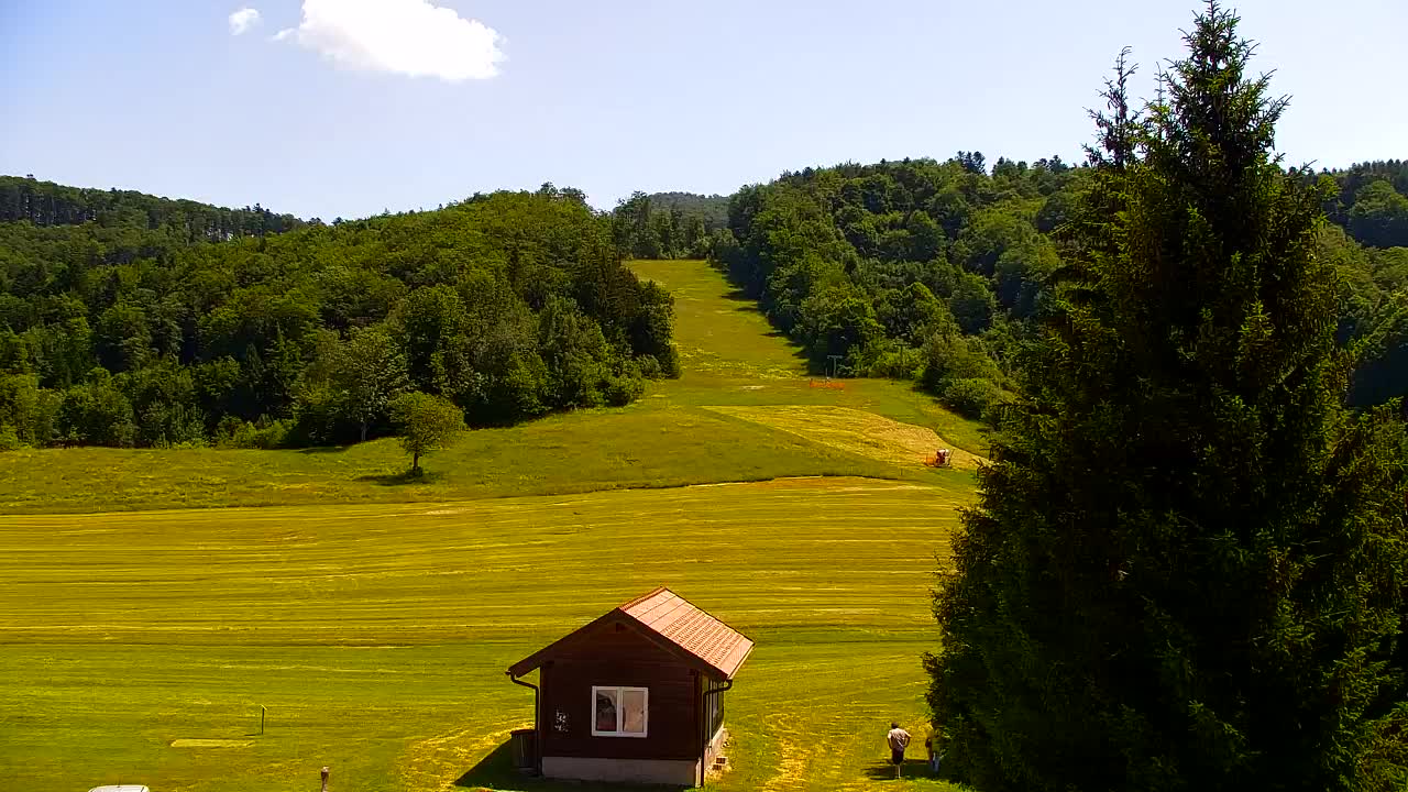 Webcam Lokve – The beauty of the Trnovo forest