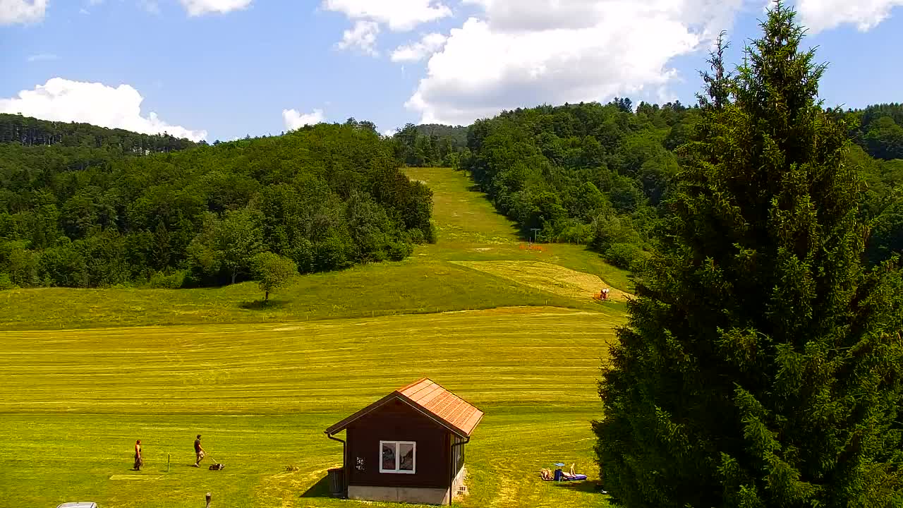 Webcam Loqua / Lokve – La bellezza della selva di Tarnova
