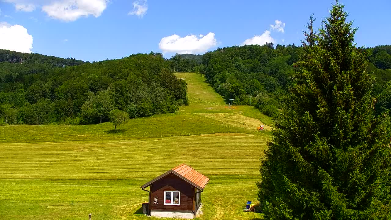 Webcam Lokve – The beauty of the Trnovo forest