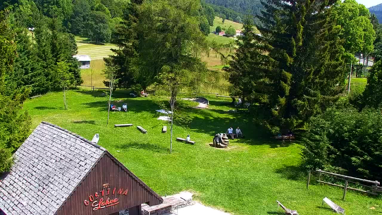 Webcam Lokve – The beauty of the Trnovo forest