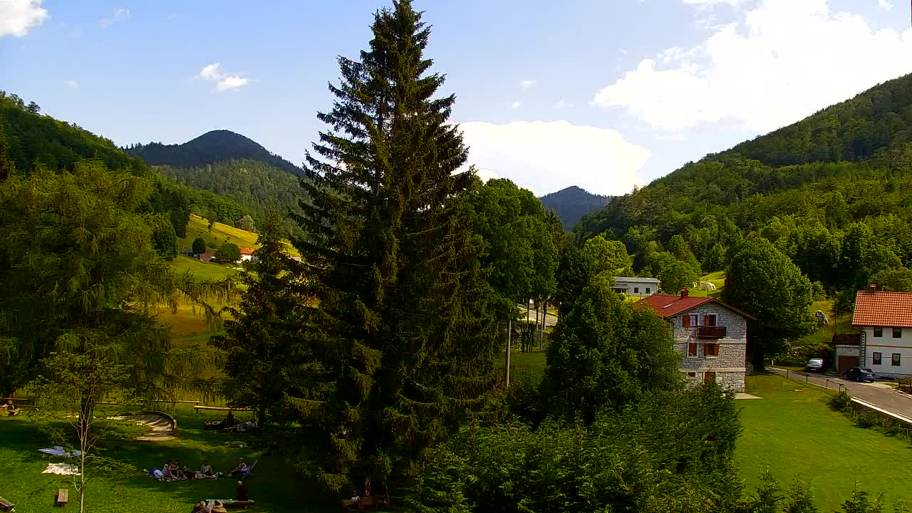 Webcam Lokve – La beauté de la forêt de Trnovo