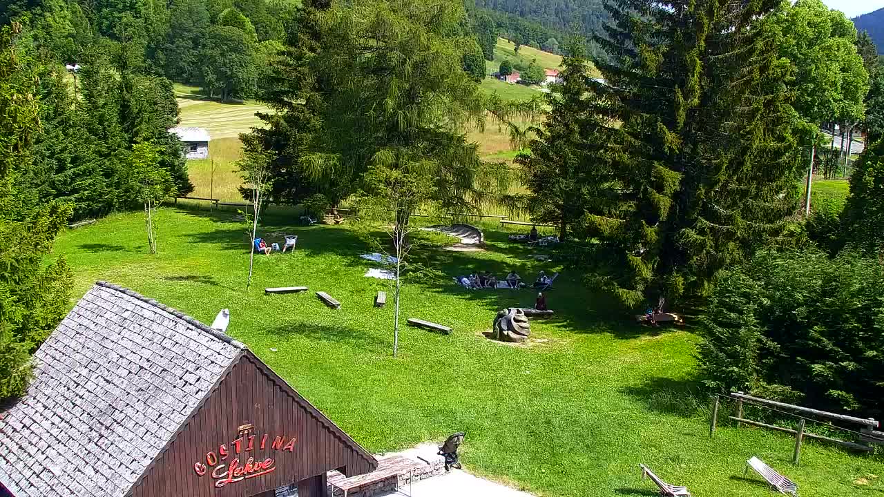 Webcam Lokve – La beauté de la forêt de Trnovo