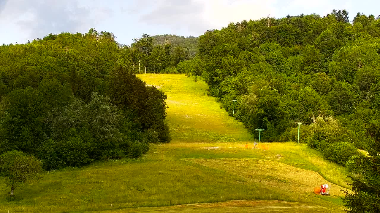 Webcam Lokve – The beauty of the Trnovo forest