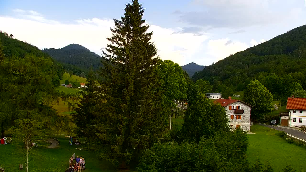 Webcam Lokve – The beauty of the Trnovo forest