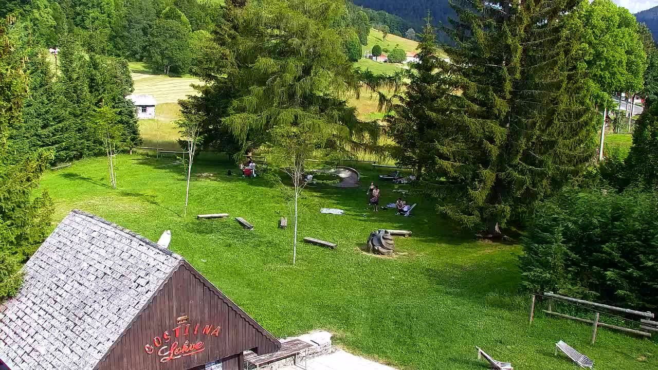 Webcam Loqua / Lokve – La bellezza della selva di Tarnova