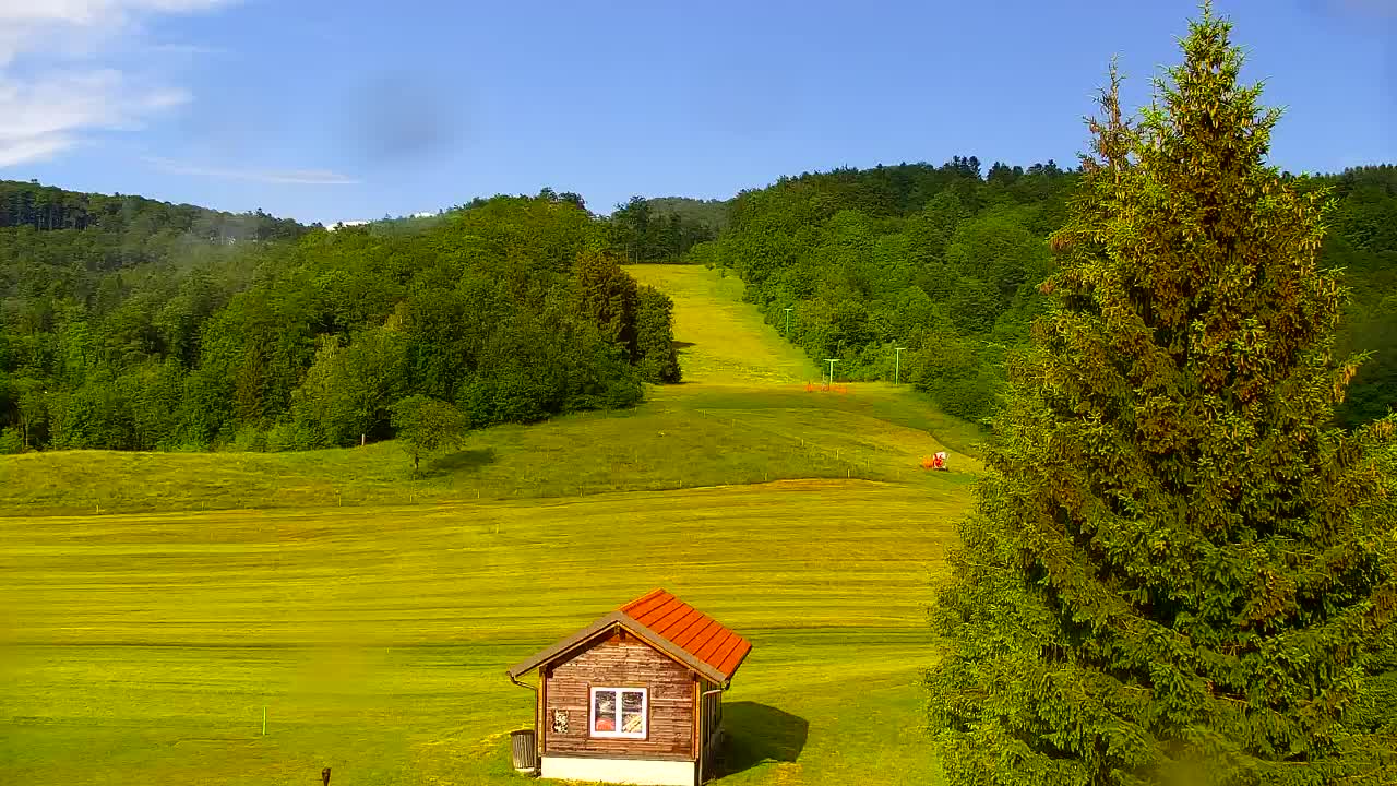 Webcam Loqua / Lokve – La bellezza della selva di Tarnova
