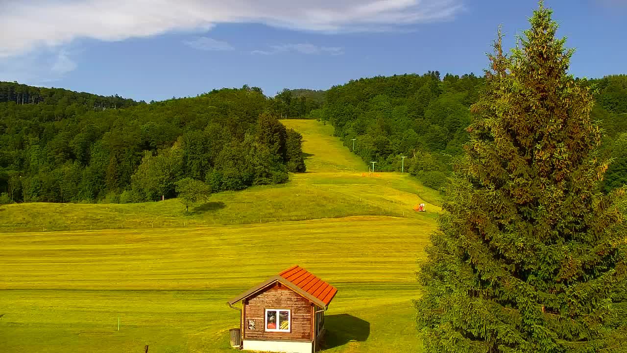 Webcam Lokve – The beauty of the Trnovo forest