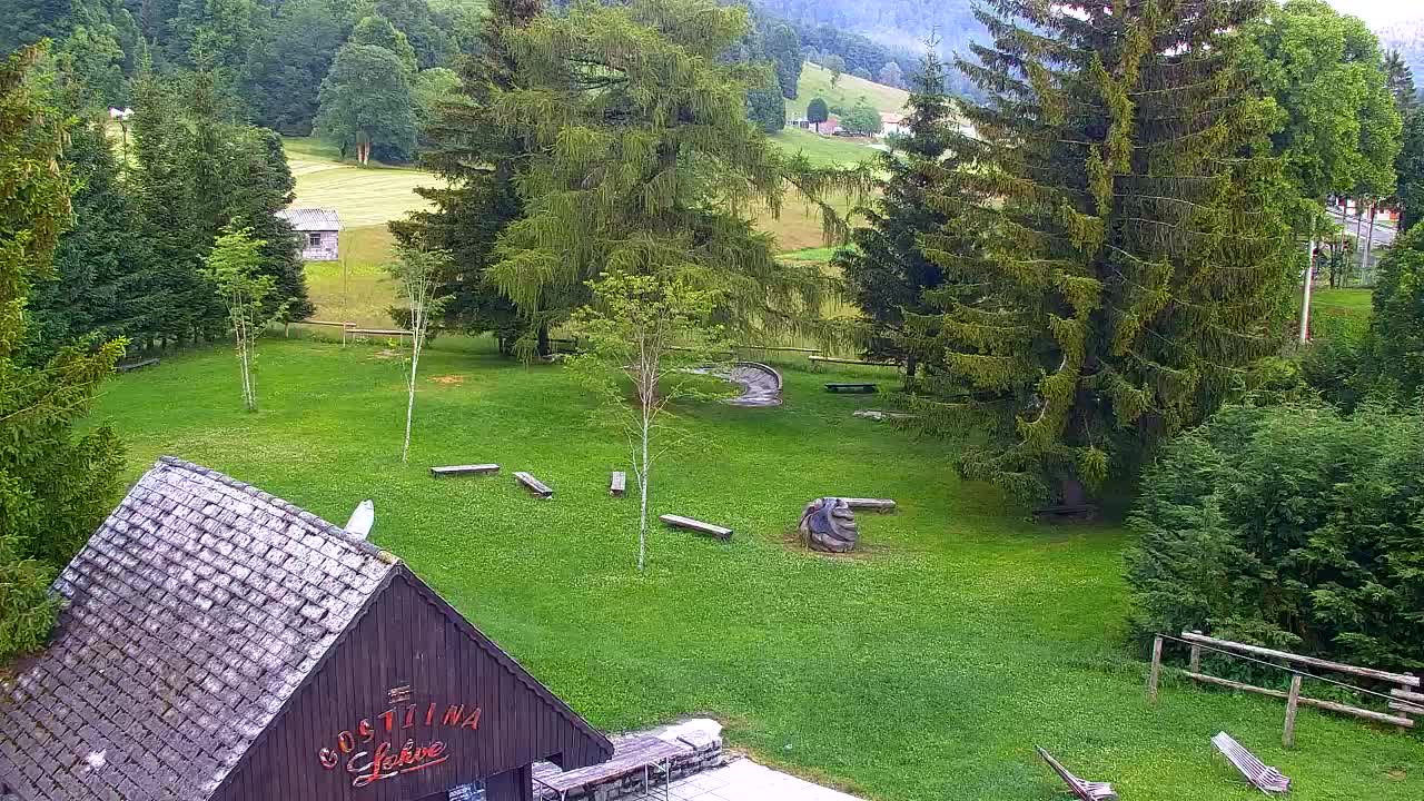 Webcam Loqua / Lokve – La bellezza della selva di Tarnova