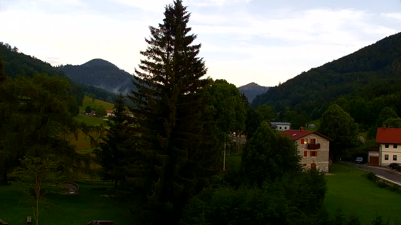Webcam Loqua / Lokve – La bellezza della selva di Tarnova