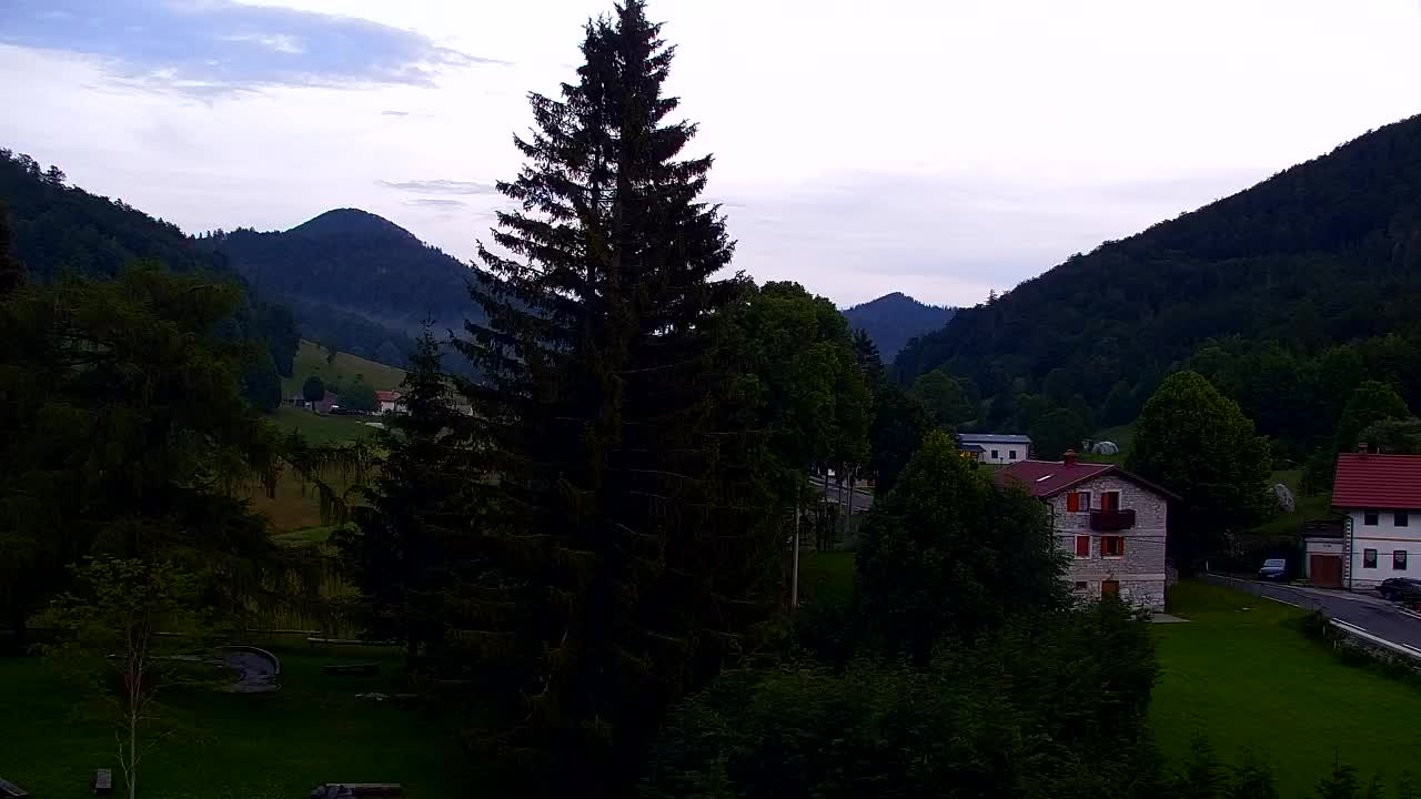Webcam Lokve – The beauty of the Trnovo forest