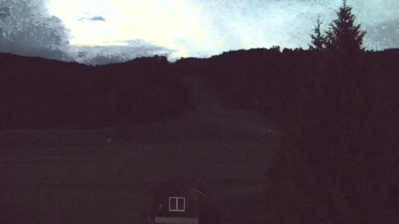 Webcam Lokve – The beauty of the Trnovo forest