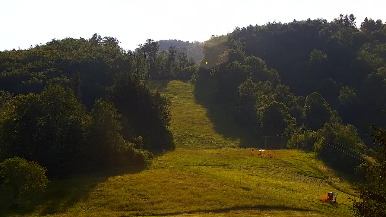 Webcam Loqua / Lokve – La bellezza della selva di Tarnova