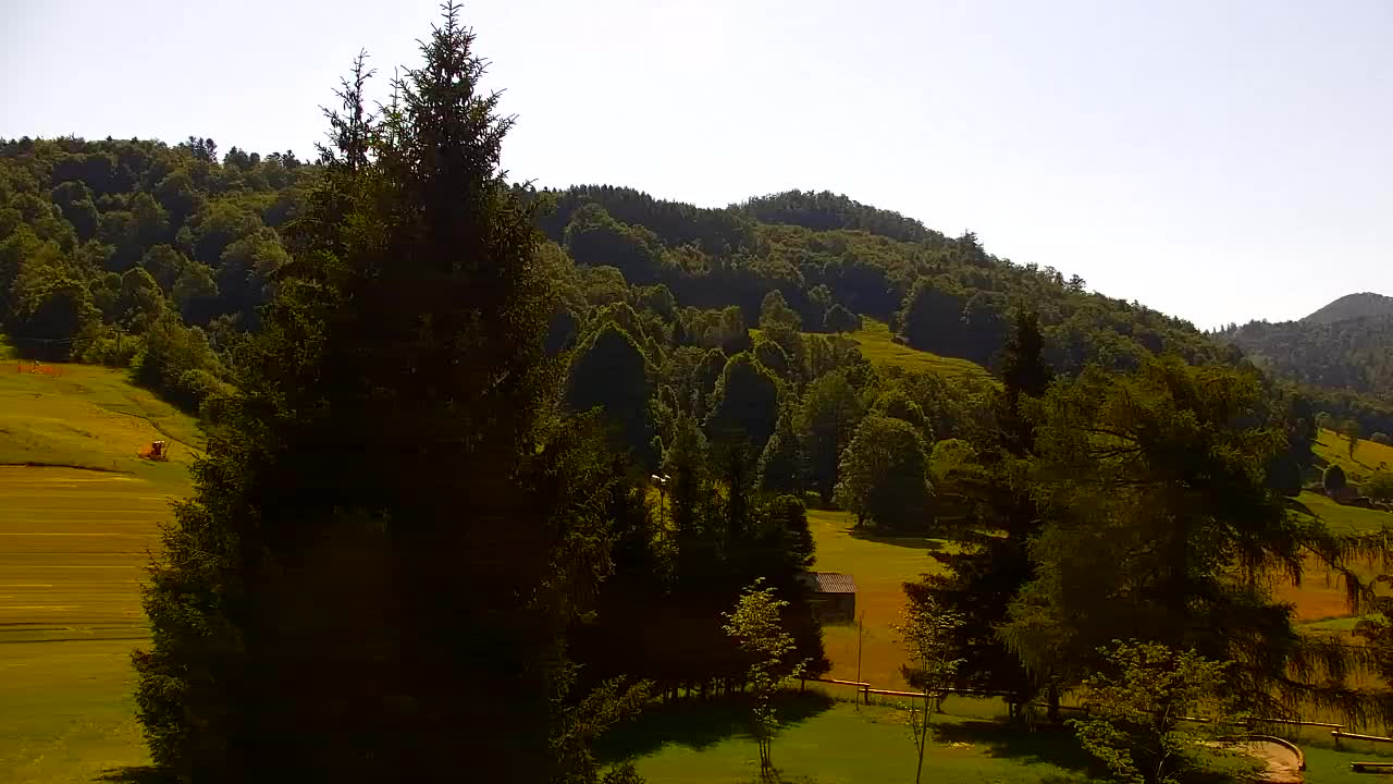 Webcam Lokve – The beauty of the Trnovo forest