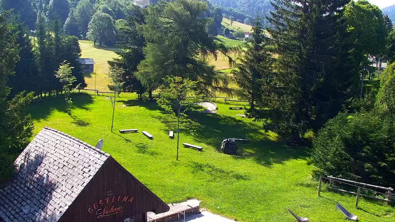 Webcam Loqua / Lokve – La bellezza della selva di Tarnova