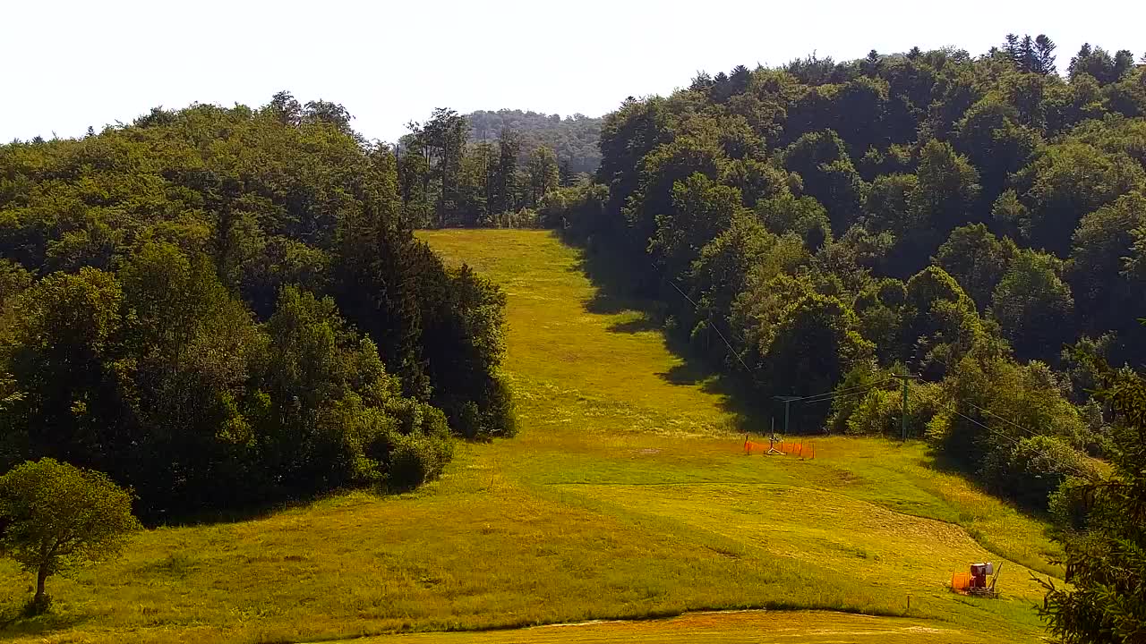 Webcam Lokve – The beauty of the Trnovo forest