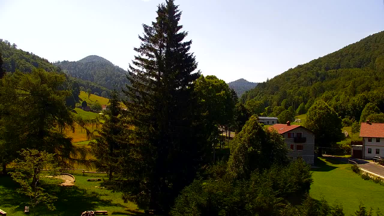 Webcam Loqua / Lokve – La bellezza della selva di Tarnova