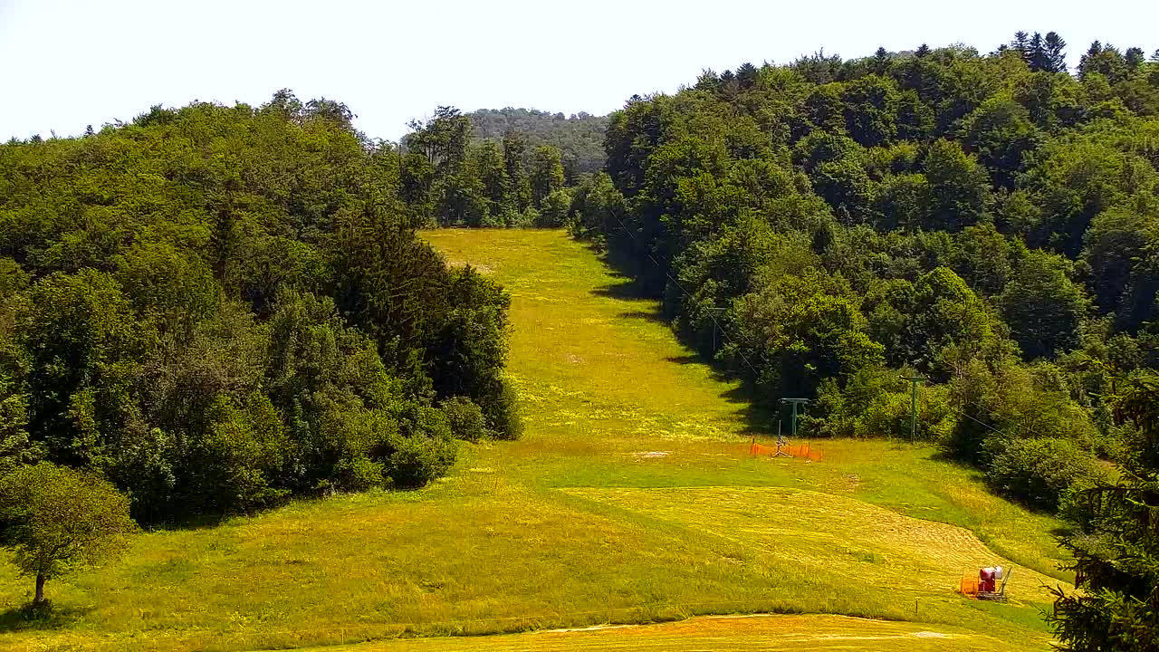 Webcam Lokve – La beauté de la forêt de Trnovo