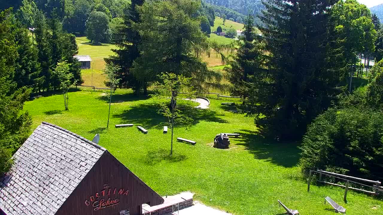 Webcam Lokve – La beauté de la forêt de Trnovo