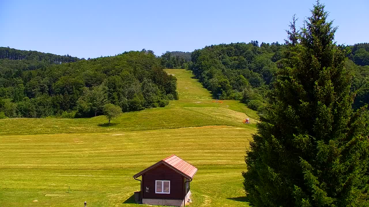 Camera en vivo Lokve – La belleza del bosque de Trnovo