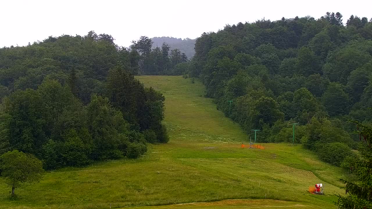 Webcam Lokve – La beauté de la forêt de Trnovo