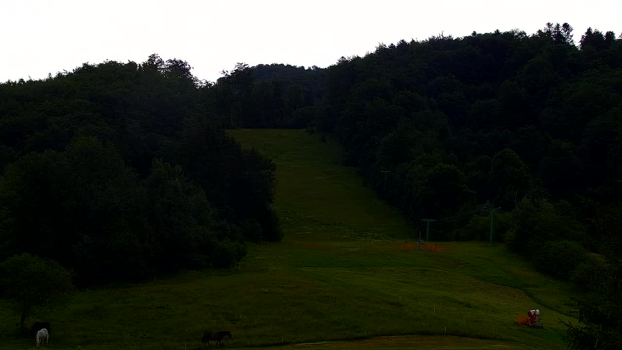 Webcam Lokve – The beauty of the Trnovo forest