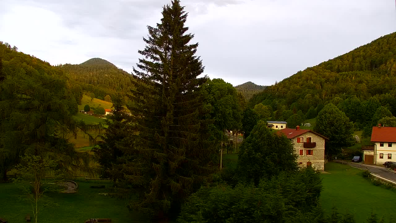 Webcam Loqua / Lokve – La bellezza della selva di Tarnova