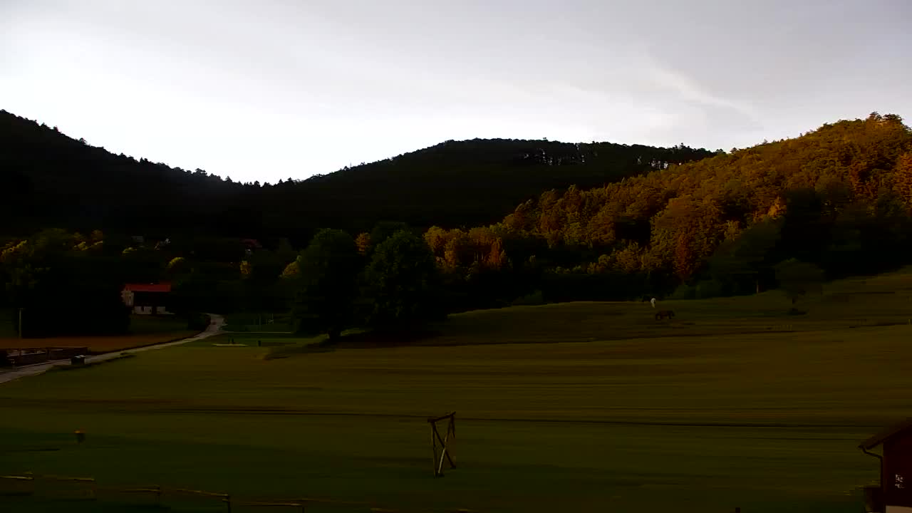 Camera en vivo Lokve – La belleza del bosque de Trnovo
