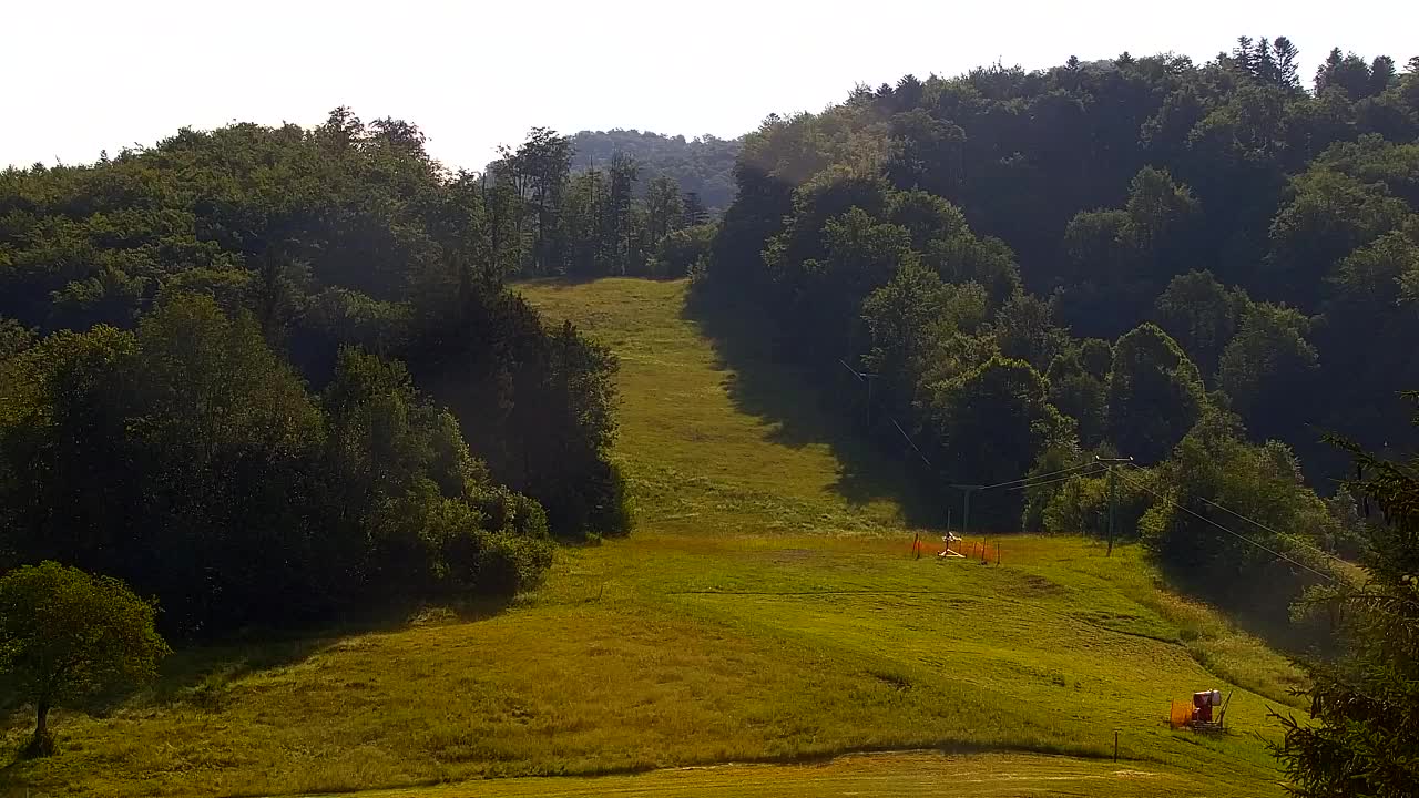 Webcam Lokve – The beauty of the Trnovo forest