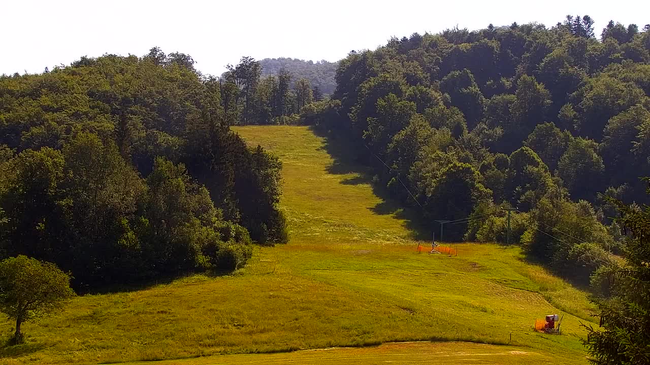 Webcam Loqua / Lokve – La bellezza della selva di Tarnova