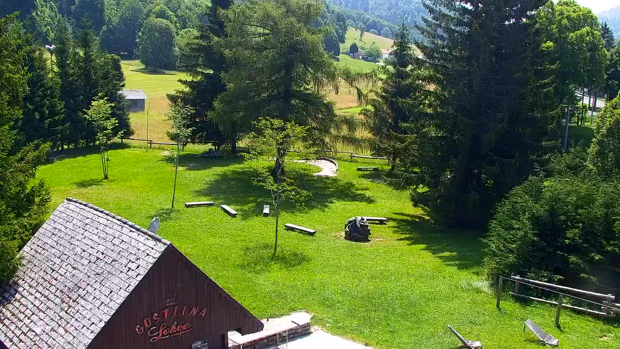 Webcam Lokve – The beauty of the Trnovo forest