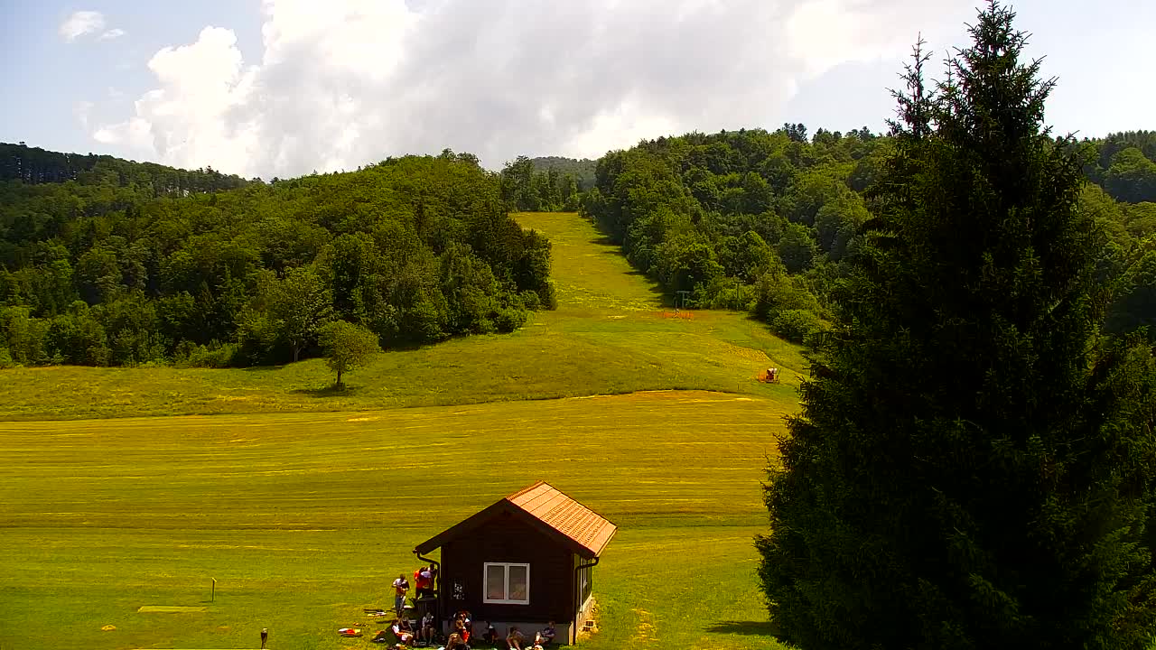 Webcam Loqua / Lokve – La bellezza della selva di Tarnova