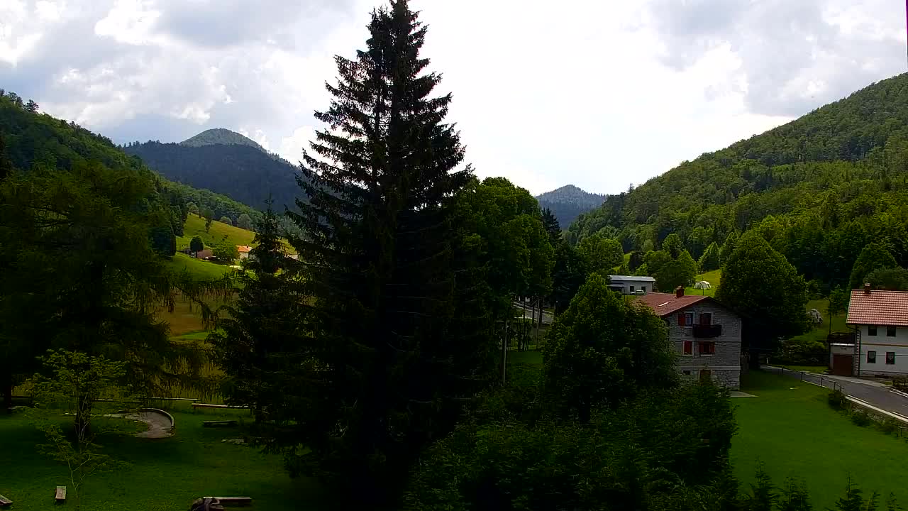 Webcam Lokve – La beauté de la forêt de Trnovo