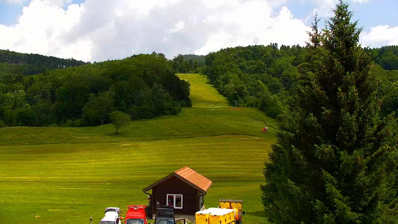 Webcam Loqua / Lokve – La bellezza della selva di Tarnova