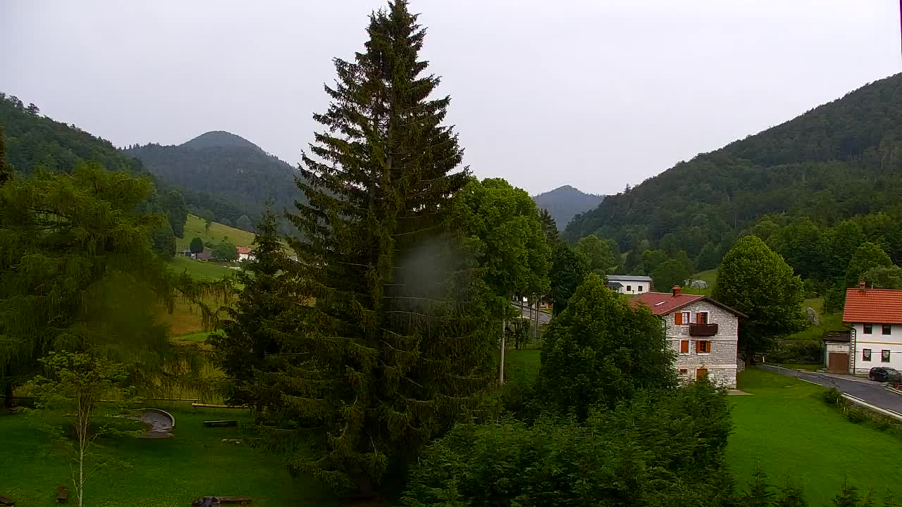 Webcam Lokve – The beauty of the Trnovo forest