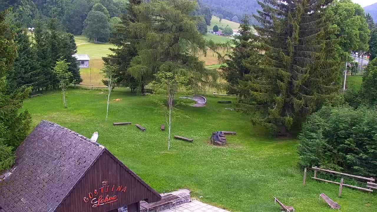 Webcam Lokve – Die Schönheit des Trnovo-Waldes
