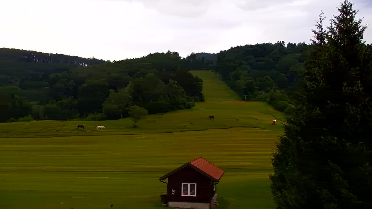 Webcam Lokve – Die Schönheit des Trnovo-Waldes