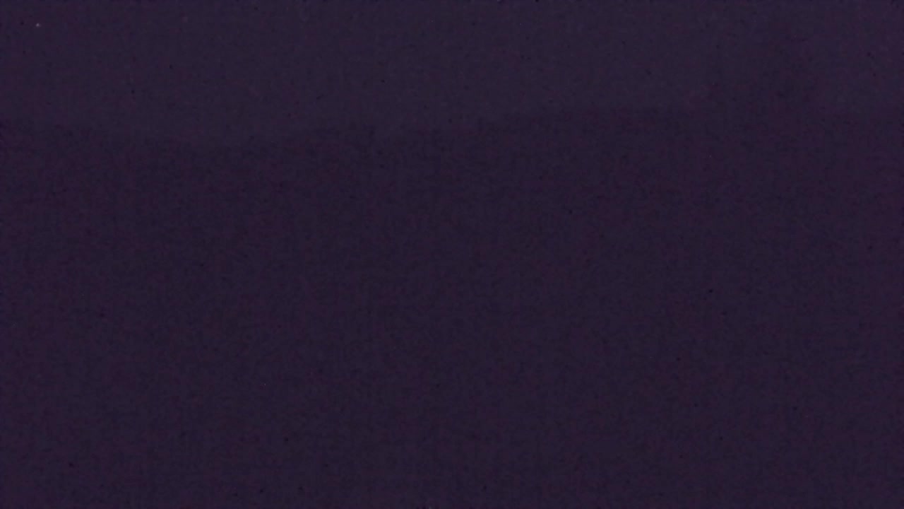 Webcam Lokve – La beauté de la forêt de Trnovo