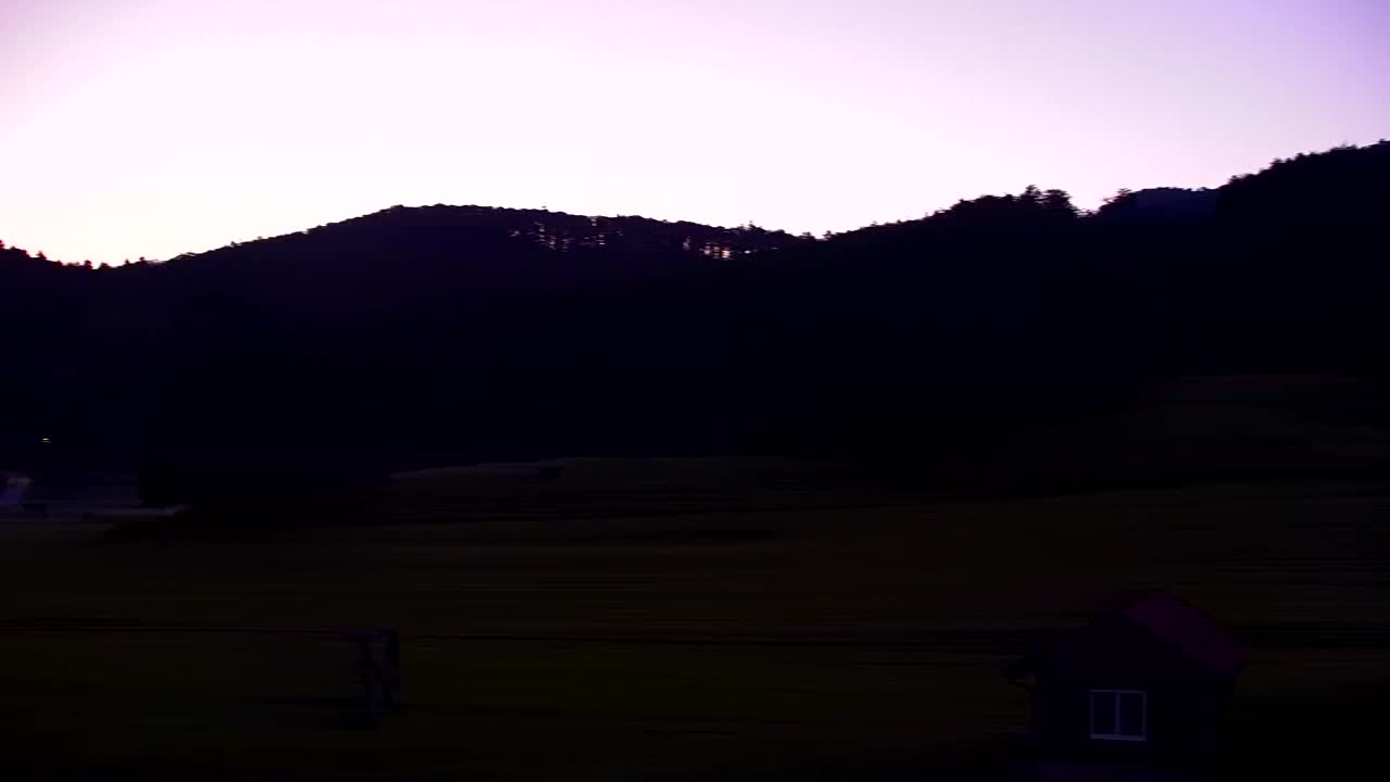 Webcam Loqua / Lokve – La bellezza della selva di Tarnova