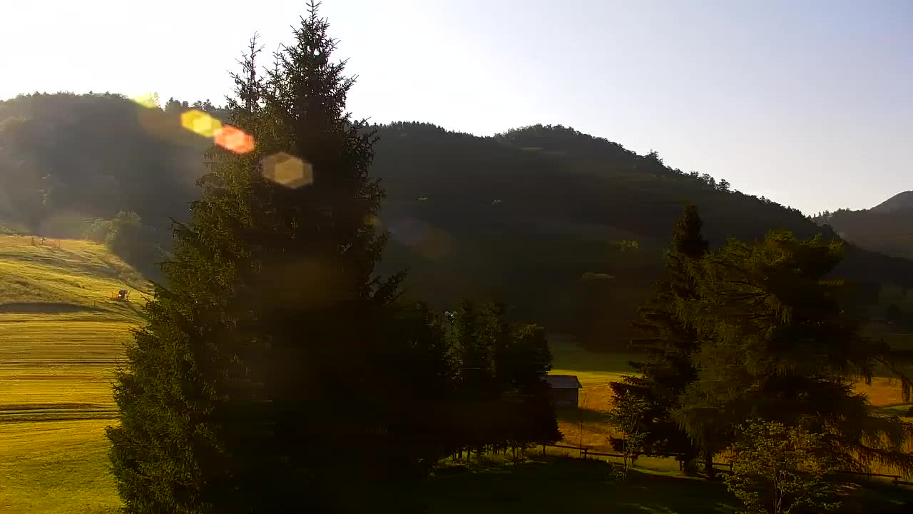 Webcam Lokve – The beauty of the Trnovo forest