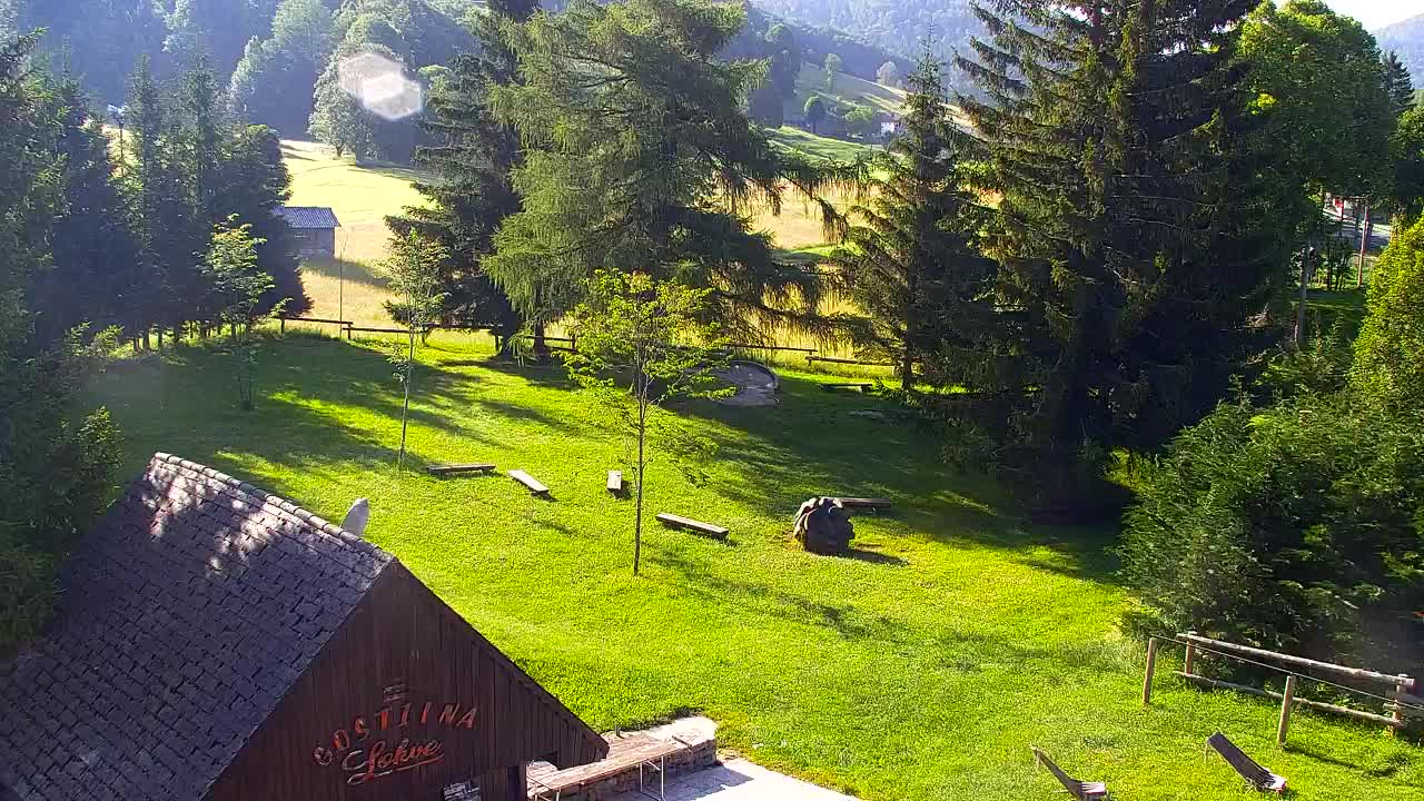 Webcam Lokve – The beauty of the Trnovo forest
