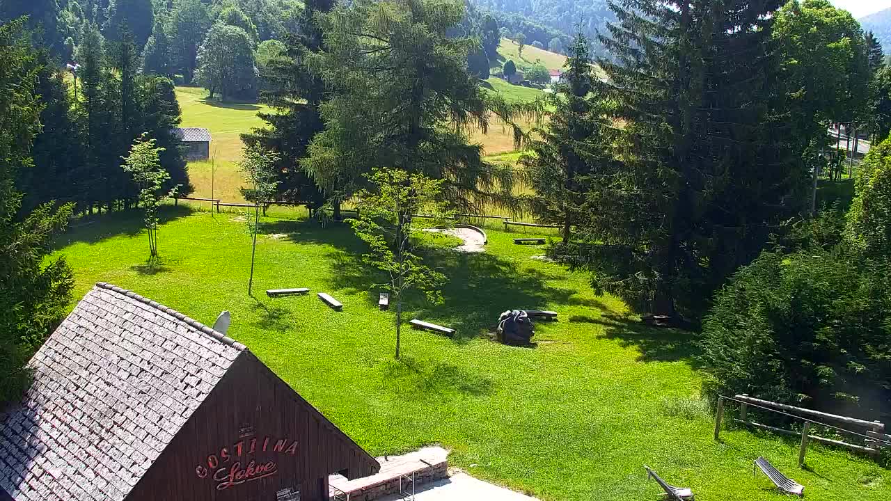 Webcam Lokve – The beauty of the Trnovo forest