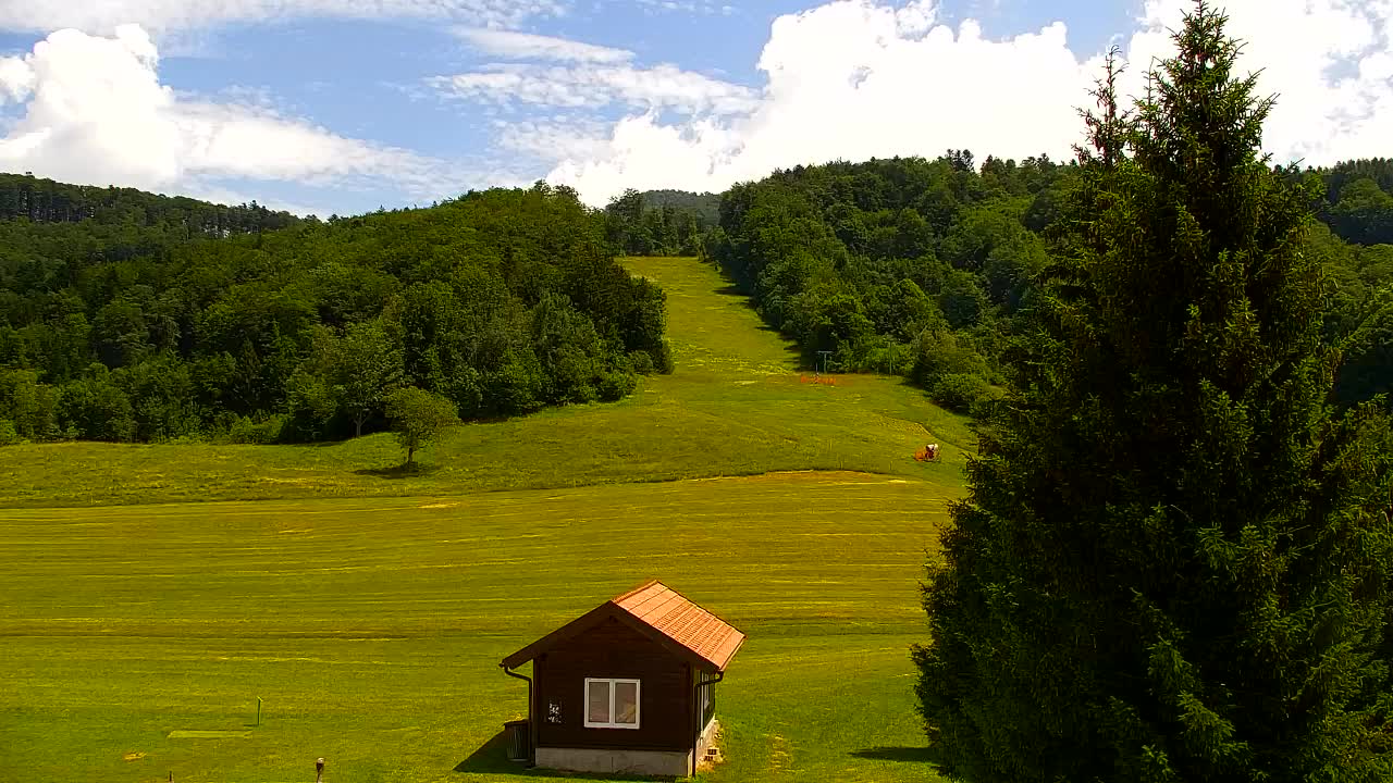 Webcam Lokve – La beauté de la forêt de Trnovo