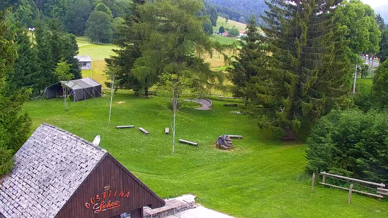 Webcam Loqua / Lokve – La bellezza della selva di Tarnova