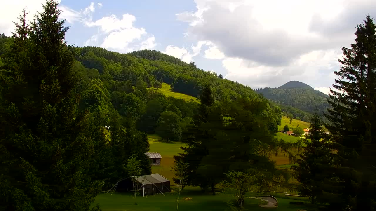Webcam Lokve – The beauty of the Trnovo forest