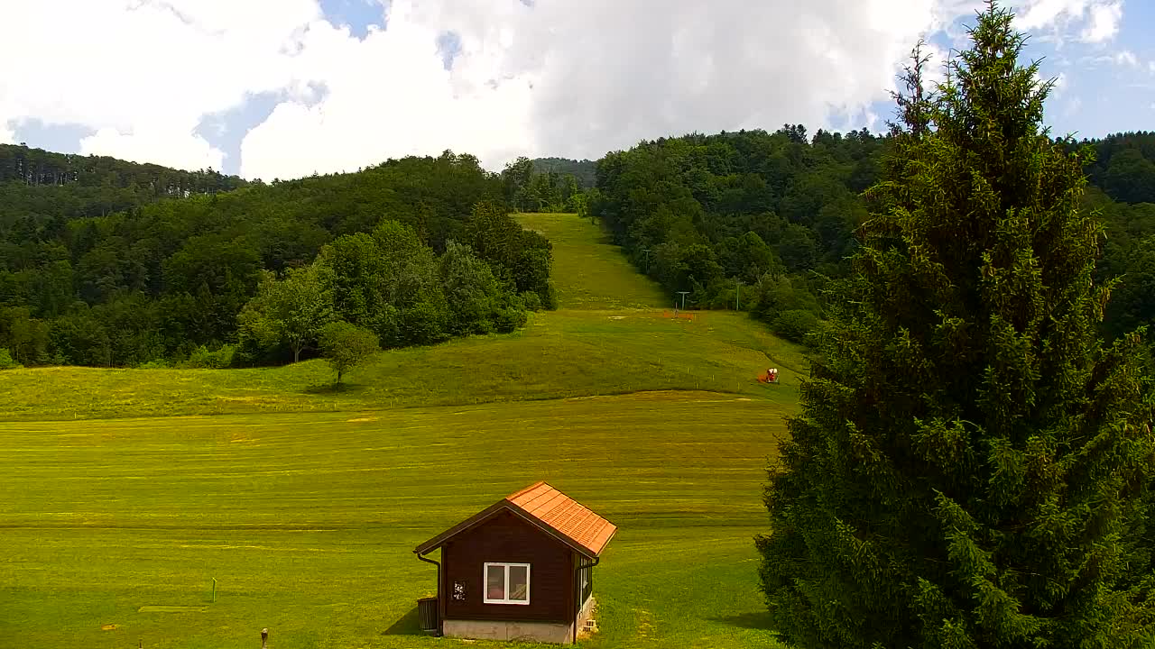 Webcam Loqua / Lokve – La bellezza della selva di Tarnova