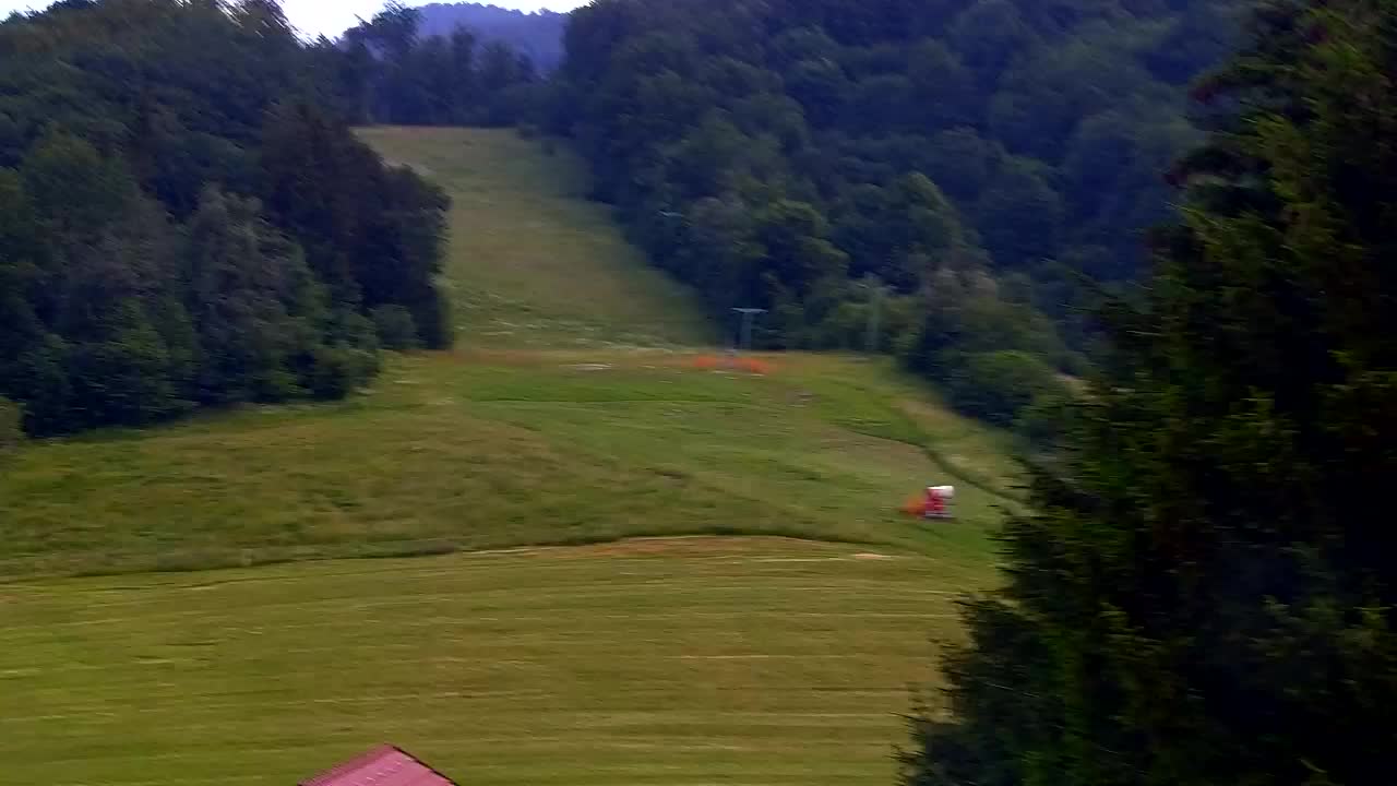 Camera en vivo Lokve – La belleza del bosque de Trnovo